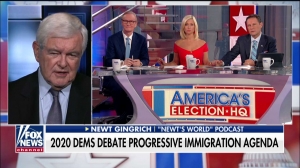 Newt Gingrich says President Trump could not have hoped for a better Dem debate