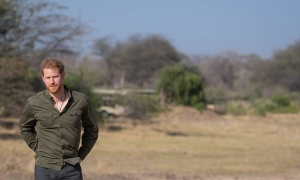 Prince Harry becomes editor of National Geographic’s Instagram account for a day