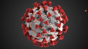 Top intelligence agency agrees coronavirus ‘not manmade or genetically modified’ | TheHill