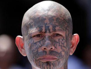 Border agent laments gang members entering U.S.: ‘Why are we letting him in here?’