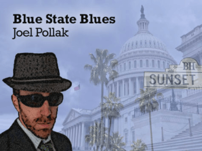 Blue-State-Blues