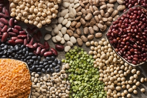Diets higher in protein, particularly plant protein, linked to lower rates of early death: study