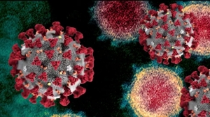 IHME increases US coronavirus death toll projection to 230,000 by November