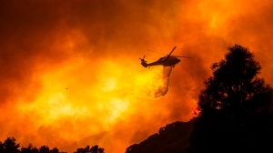 Massive wildfire destroys Big Basin State Park’s historic buildings