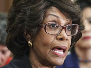 Maxine Waters: ‘We Should Send a Message Across the World’ by Investigating ‘Criminal’ Trump