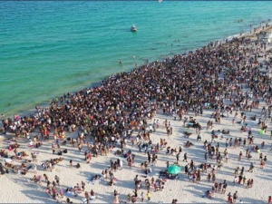 MSNBC Members Use Photo from 2019 to Shame Miami Spring Breakers over Coronavirus