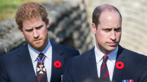 Prince Harry apology ‘demands’ from King Charles, Prince William before coronation are ‘delusional’: experts