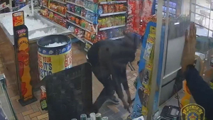 Texas armed robber runs for his life after store clerk turns the tables