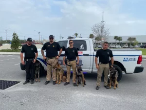 Panama City Beach police to use new K-9 dogs, crime cameras to crack down on spring break drug use