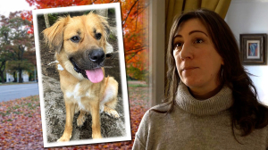 A New York woman was beaten and maced — and her dog was killed. This is her fight for justice