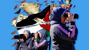 How Trapped Palestinians Fell in Love With Bird-Watching