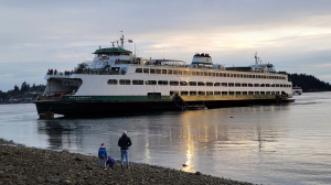 Contaminated fuel caused Washington state ferry to run aground last month, investigators say