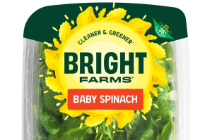 Possible listeria contamination prompts BrightFarms spinach, salad kit recall in 7 states