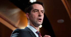 Cotton: Democrats ‘Bizarrely Superimpose’ DEI Worldview on Middle East