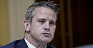 Kinzinger: Democracy Can’t Continue if SCOTUS Rules Trump Has Immunity