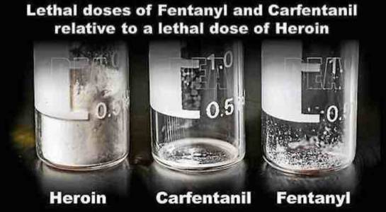 Caveat on the Carfentanil Connection